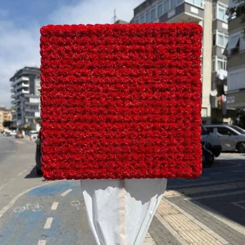 KIRMIZI PANO ÇELENGİ